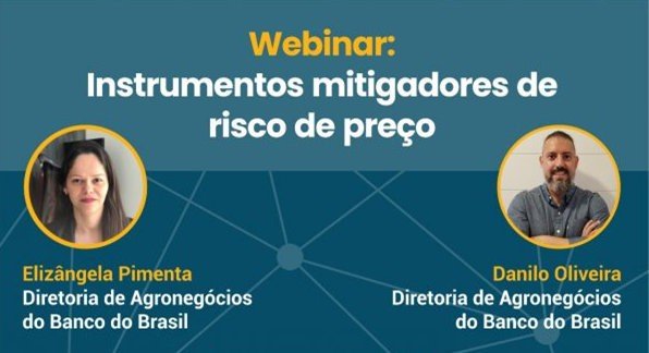 Webinar Mitigadores de Risco de Preço