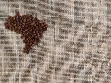 Indicações Geográficas do Café no Brasil - Minas.