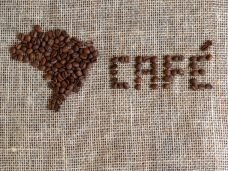 Indicações Geográficas do café no Brasil Alta Mogiana e Região do Pinhal.