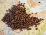 Indicações Geográficas do café no Brasil - Norte Pioneiro do Paraná.