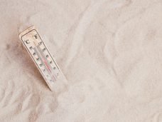 Termômetro Leilão ABIC.