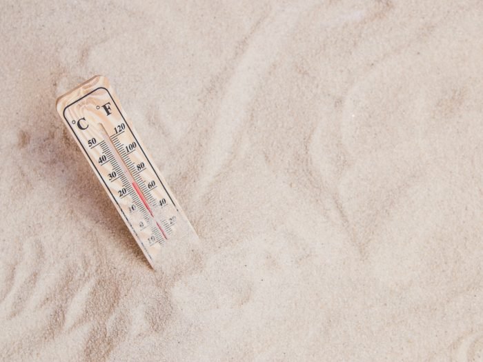 Termômetro Leilão ABIC.