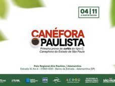 imagem Canéfora Paulista