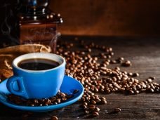 Estudo café amargo.