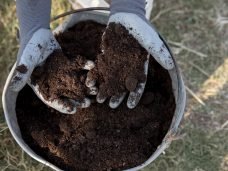 Compostagem - Crédito: Freepik