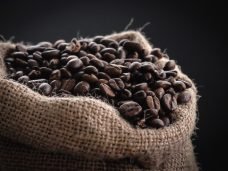tina-guina-obV_LM0KjxY-unsplash