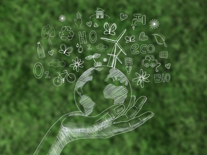 Dia Mundial do Meio Ambiente