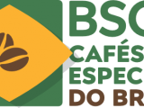 logo_header_pt