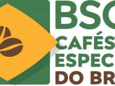 logo_header_pt