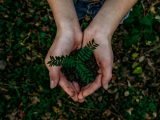 Foco no ESG - unsplash