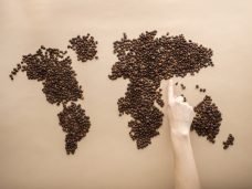 Receitas de Café ao Redor do Mundo - Pexels