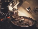 Tipo de torra de café
