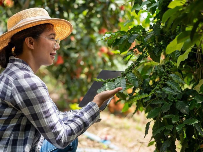 Dia da Igualdade Feminina - mulheres na cafeicultura Freepik