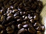 Espécies de café
