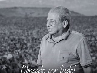 imagem pesar alysson paulinelli