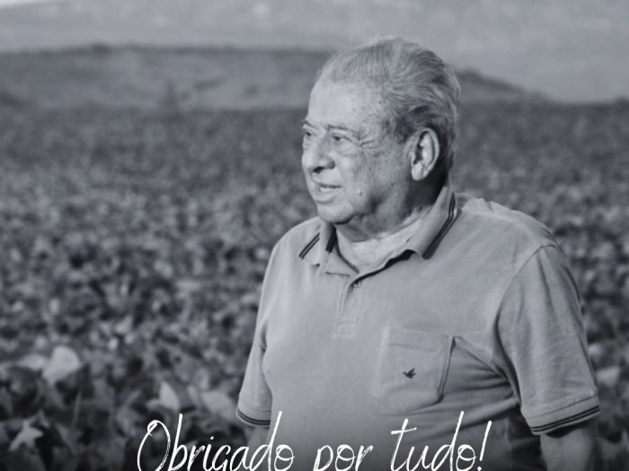 imagem pesar alysson paulinelli