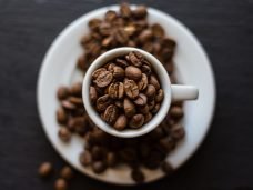 wounds_and_cracks-coffee-6464307